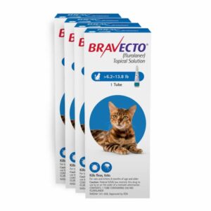 Bravecto Cat
