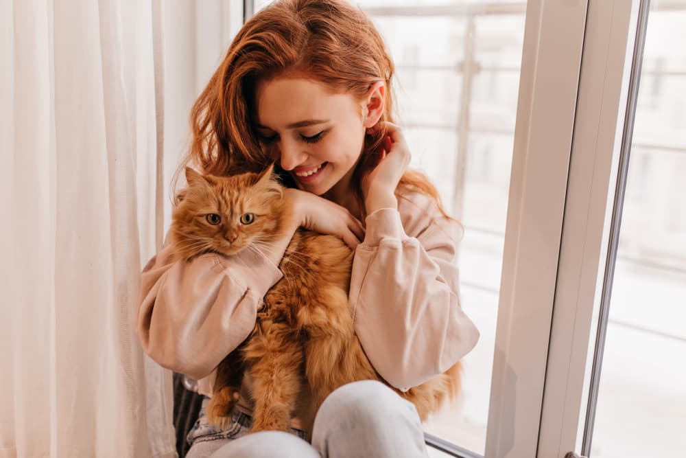 9 Curly Haired Cat Breeds With Looping Locks
