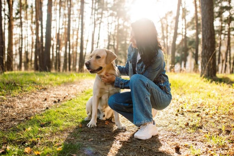 Dog walking out with owner
