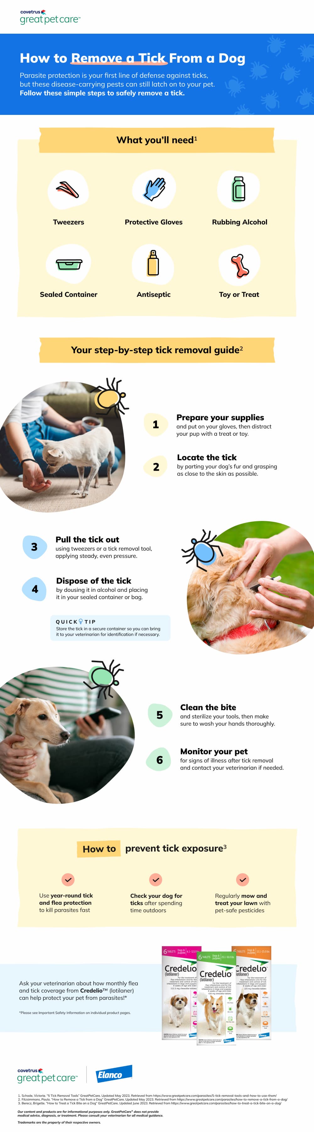 How to remove a tick from a dog infographic