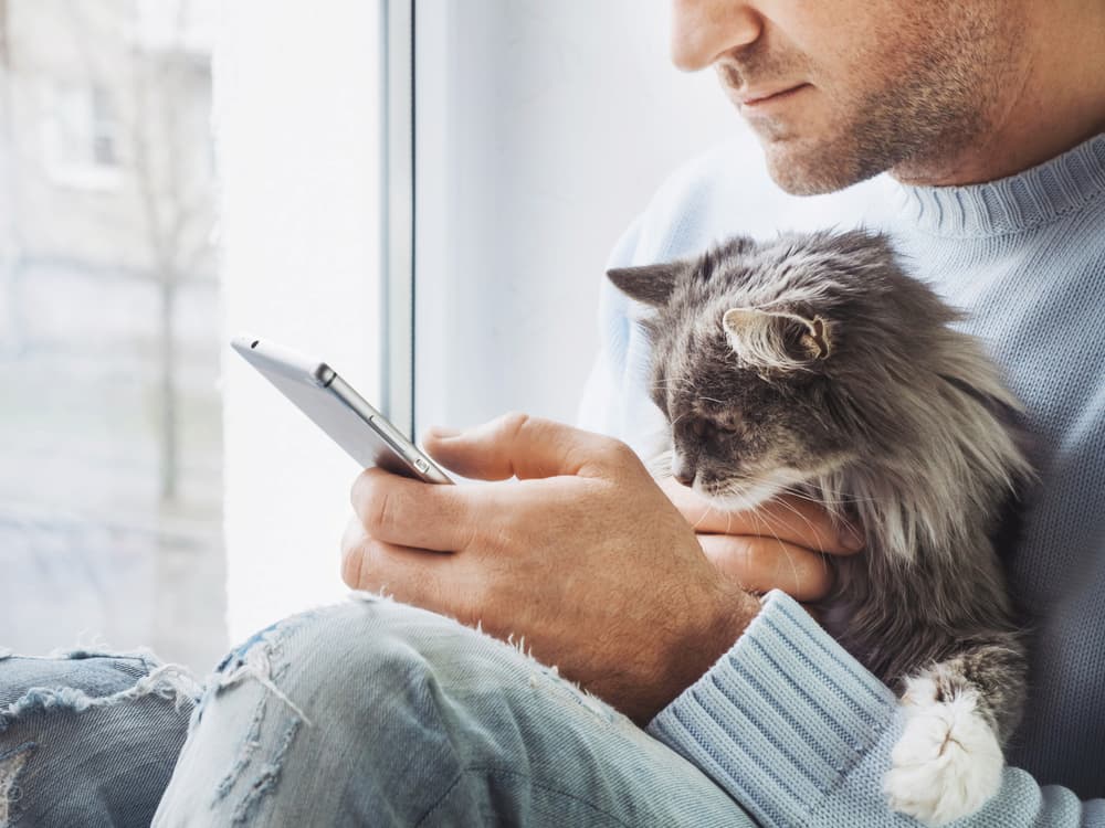 GreatPetCare Pet Parent Portal