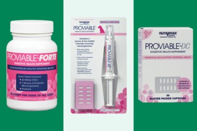 Proviable for Dogs Buying Guide: Chewables, Capsules, and Paste