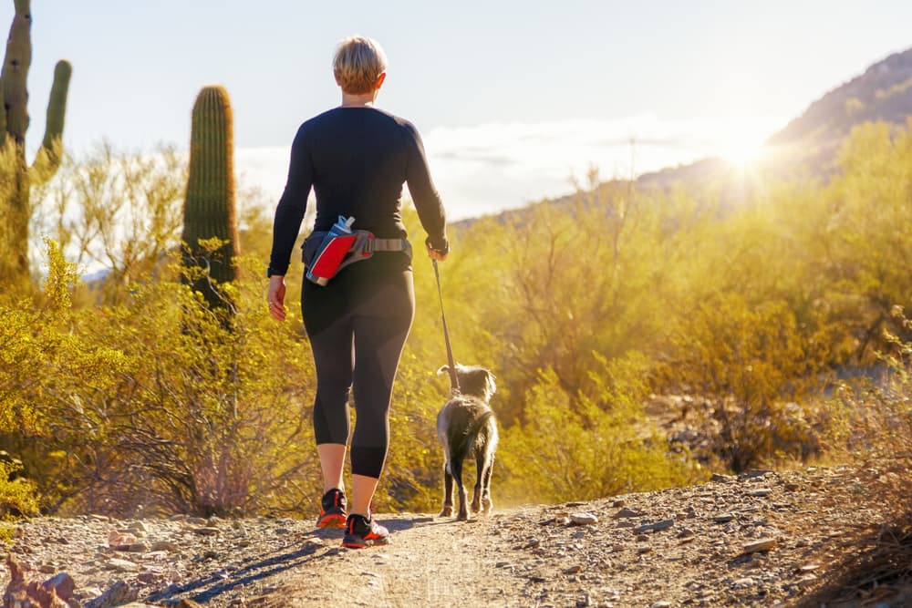 woman walking dog in the desert