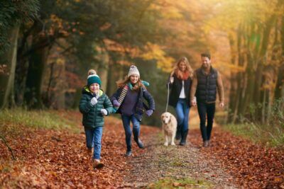 Pet Parasites in the Northeast: A Regional Overview of Species and Risks