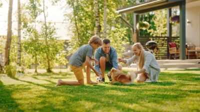 Best Heartworm Medicine for Dogs: 9 Vet-Approved Picks