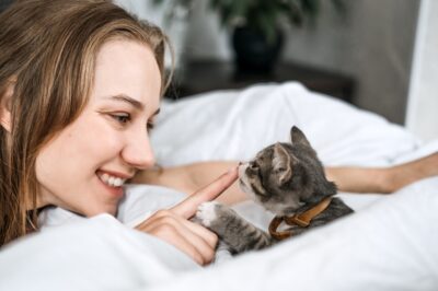 How Much Do Kittens Cost? Guide to the First Year