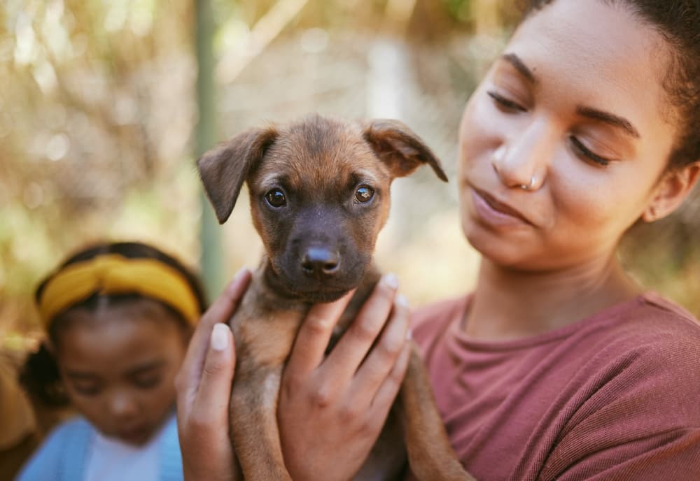 Woman holding puppy
