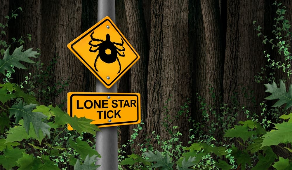 Warning sign for lone star ticks in the woods