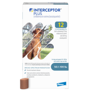 Interceptor Plus for dogs packaging